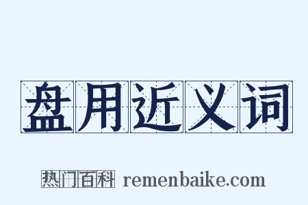 盘用近义词是什么意思的图片